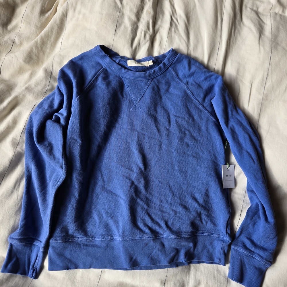 American Eagle Outfitters Blue Crew Neck Sweater